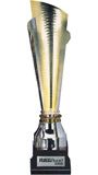 Beauty Award 2008-2009